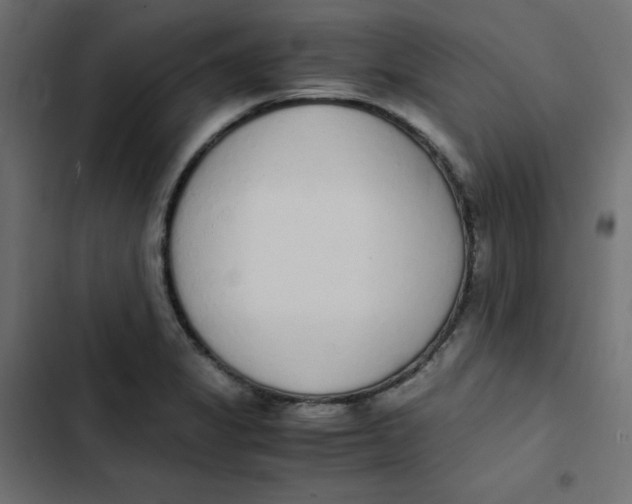 X0000103331325200809261152