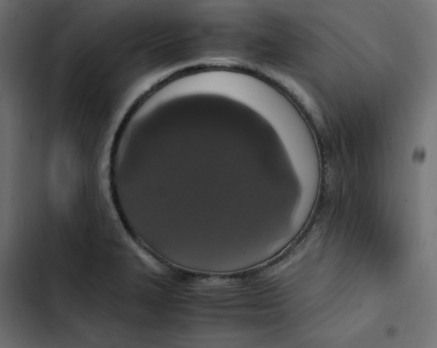 X0000103331327200809261152