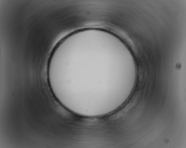 X0000103331328200809261152