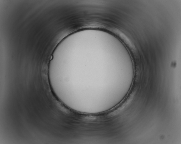 X0000103331329200809261152