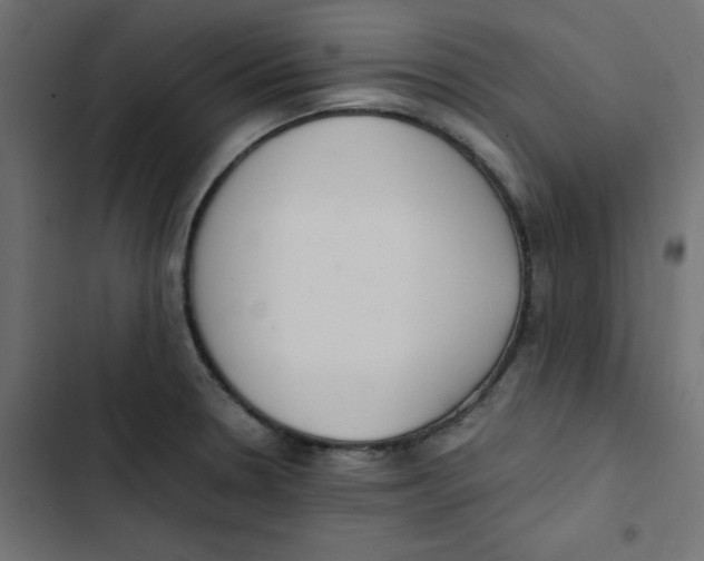 X0000103331330200809261152