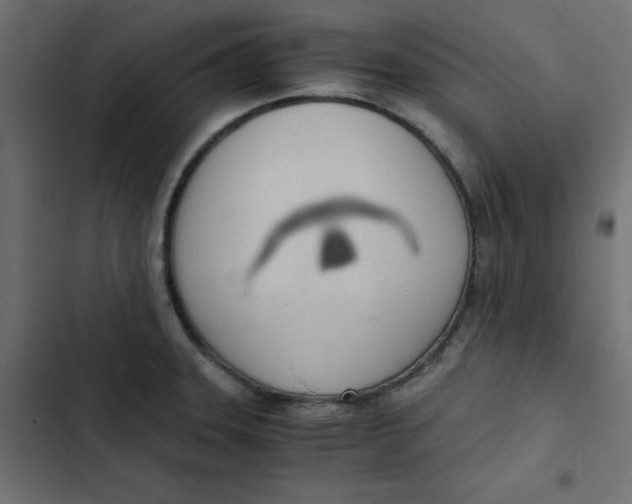 X0000103331331200809261152