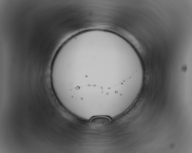 X0000103331332200809261152