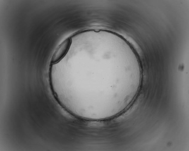 X0000103331333200809261152