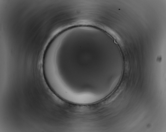 X0000103331334200809261152