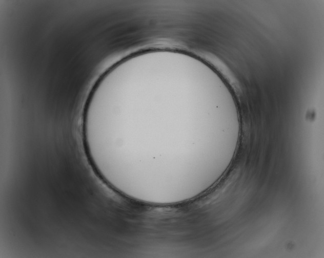 X0000103331335200809261152