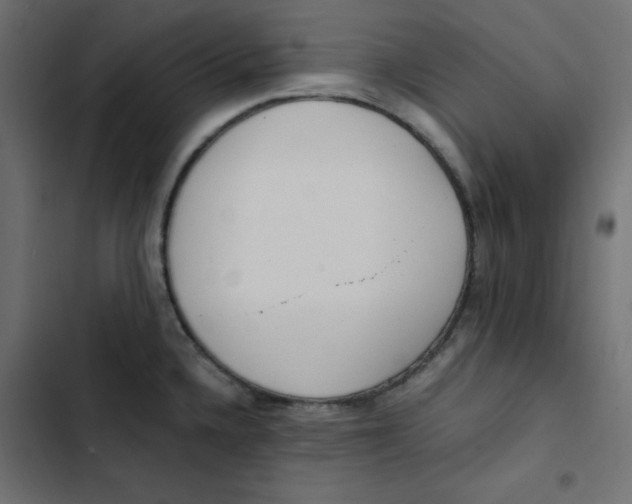 X0000103331336200809261152