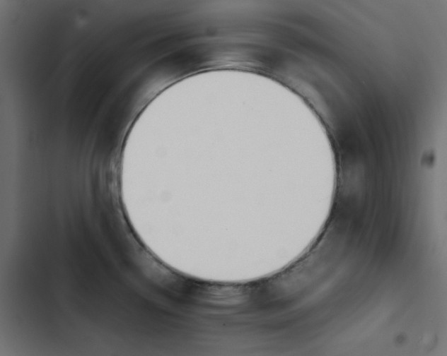 X0000103331338200809261152