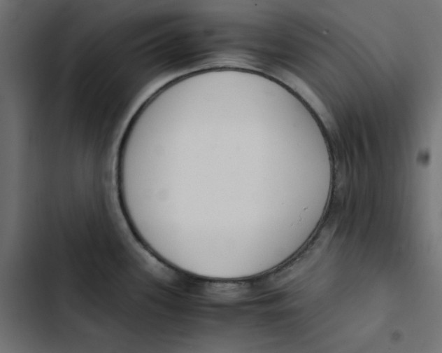 X0000103331339200809261152