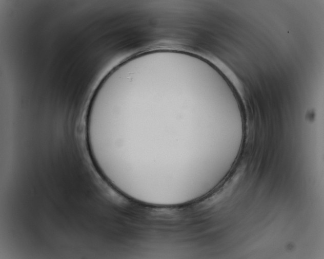 X0000103331341200809261152