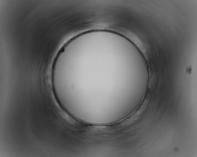 X0000103331342200809261152