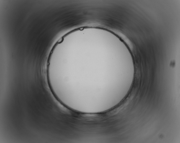 X0000103331343200809261152