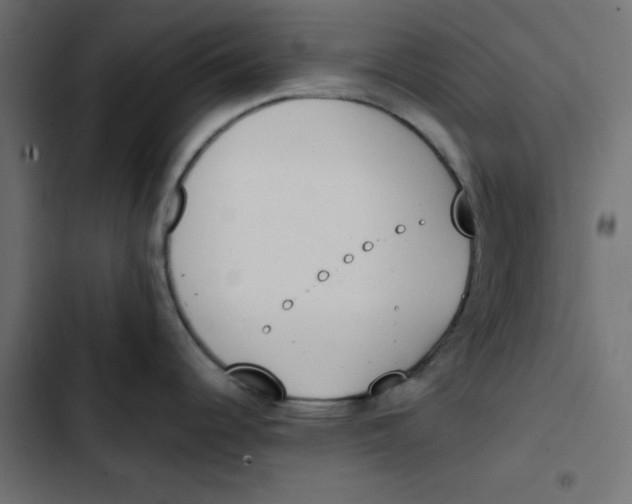 X0000103331344200809261152