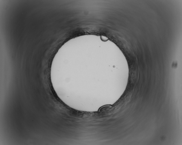 X0000103331345200809261151