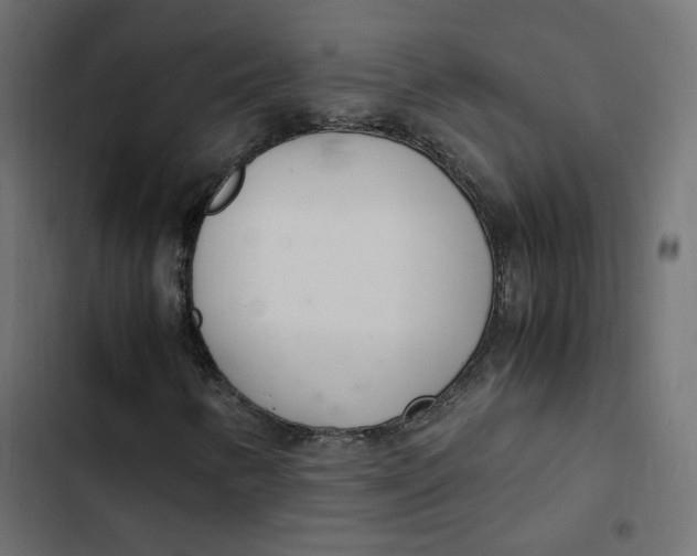 X0000103331346200809261151