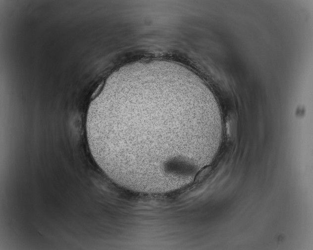 X0000103331347200809261151