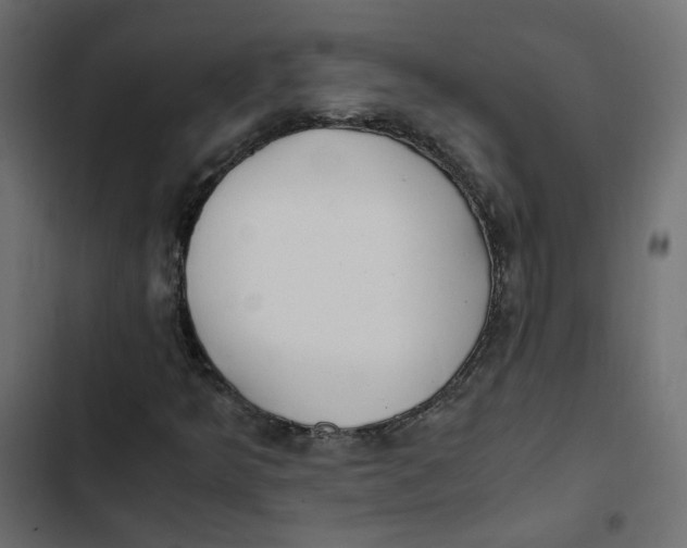 X0000103331349200809261151