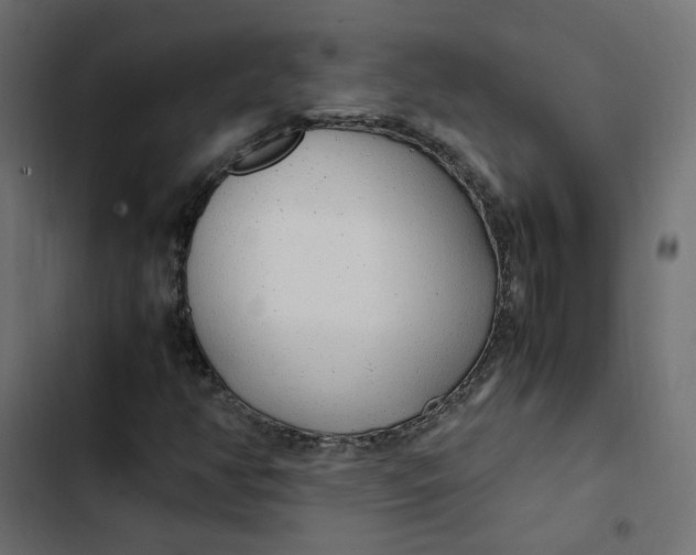 X0000103331350200809261151