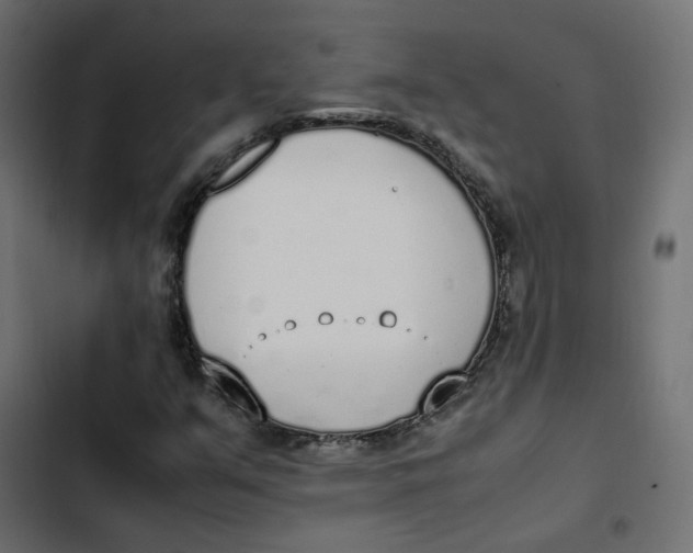 X0000103331351200809261151