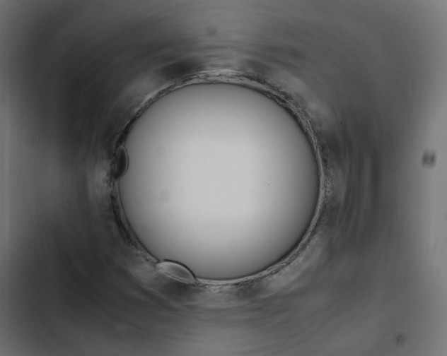 X0000103331353200809261151