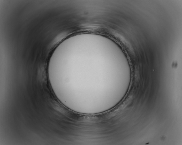 X0000103331354200809261151