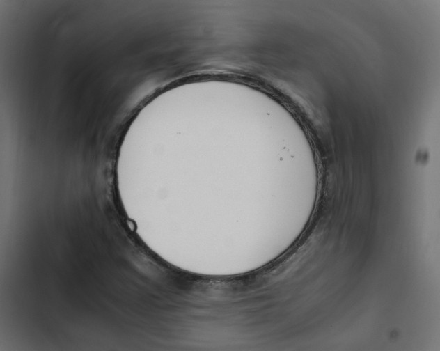 X0000103331355200809261151