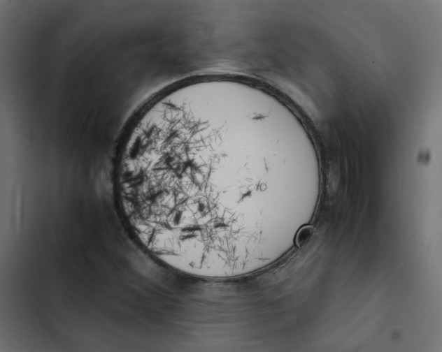 X0000103331356200809261151