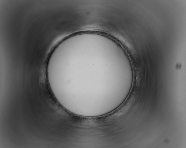 X0000103331358200809261151