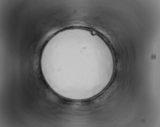 X0000103331359200809261151