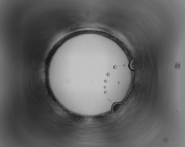 X0000103331360200809261151