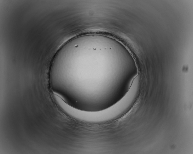 X0000103331361200809261151