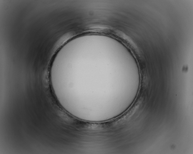 X0000103331362200809261151