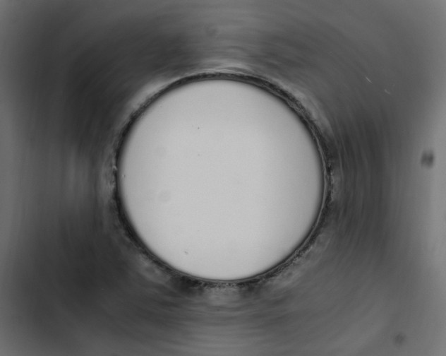 X0000103331363200809261151