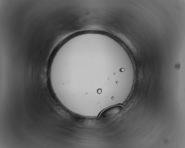 X0000103331364200809261151