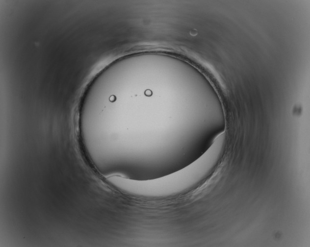 X0000103331365200809261151