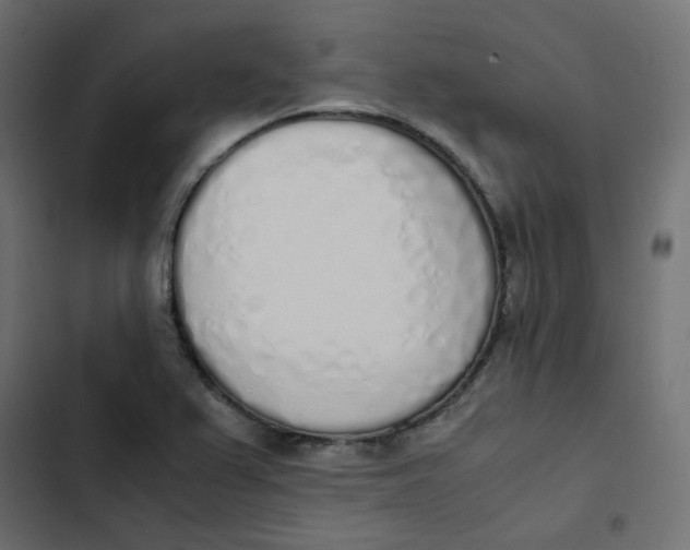 X0000103331367200809261151