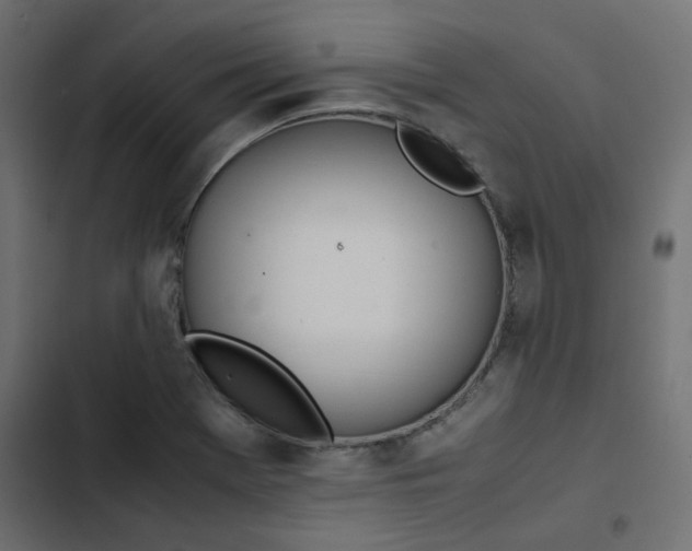 X0000103331369200809261151