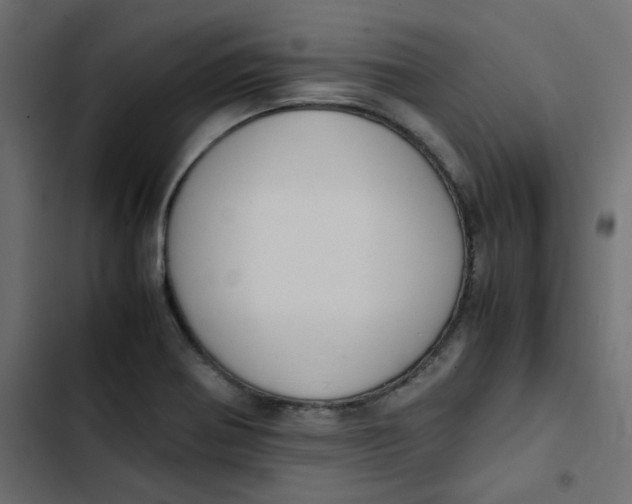 X0000103331370200809261151