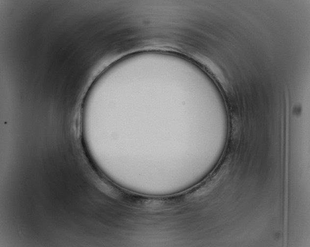 X0000103331371200809261151