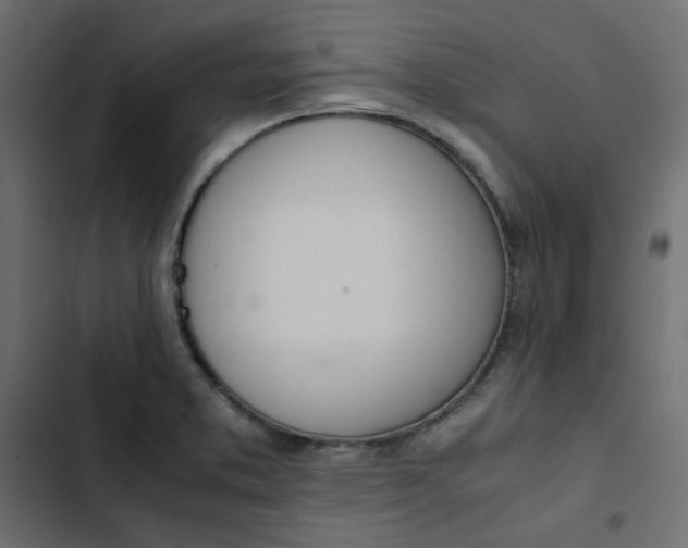 X0000103331373200809261151