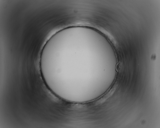 X0000103331374200809261150