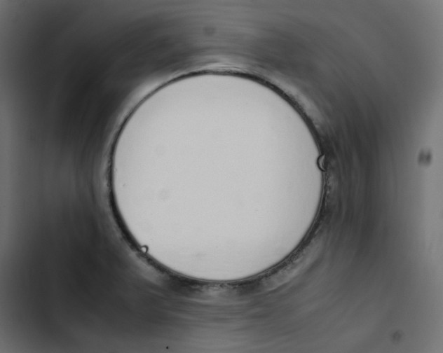 X0000103331375200809261150