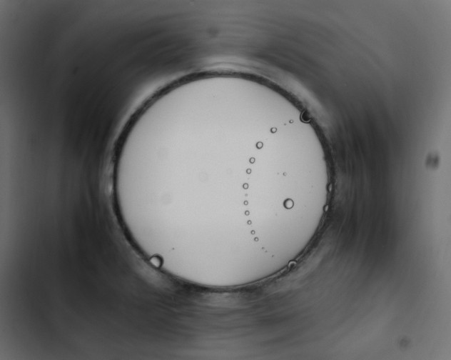 X0000103331376200809261150