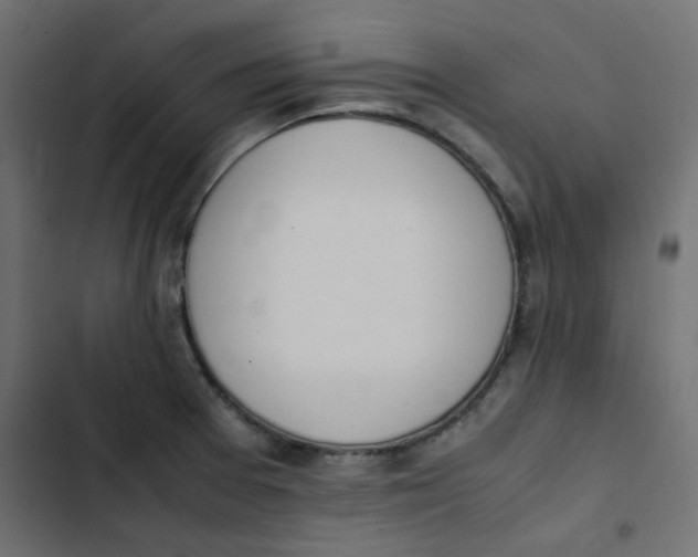 X0000103331377200809261150