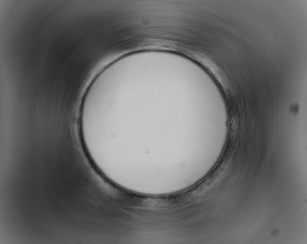 X0000103331379200809261150