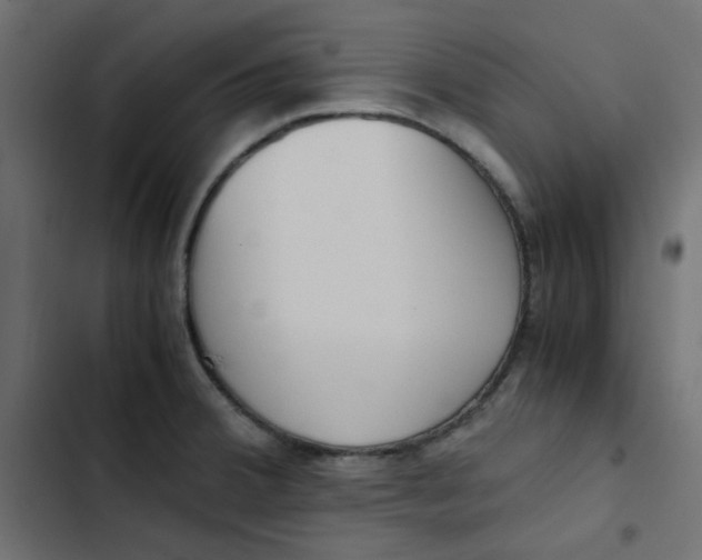 X0000103331380200809261150