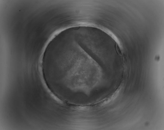 X0000103331381200809261150