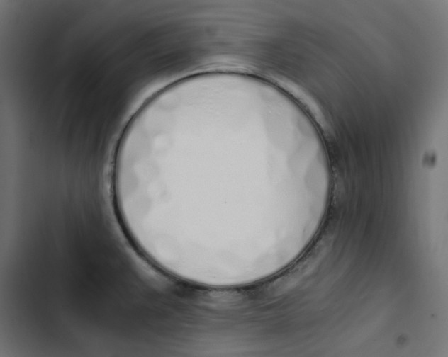 X0000103331383200809261150