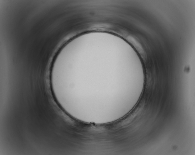 X0000103331384200809261150