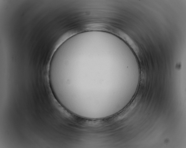 X0000103331386200809261150